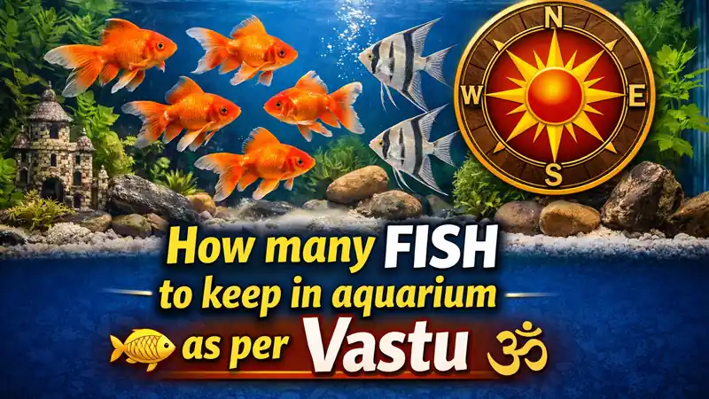 How many fish to keep in aquarium as per Vastu
