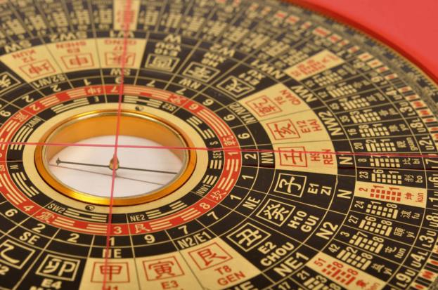 Astrologer in Noida Sector 62 Chhatra Yoga