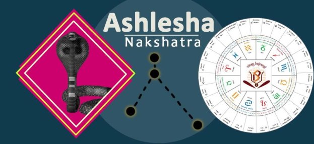 Astrologer in gurgaon on Ashlesha Nakshatra