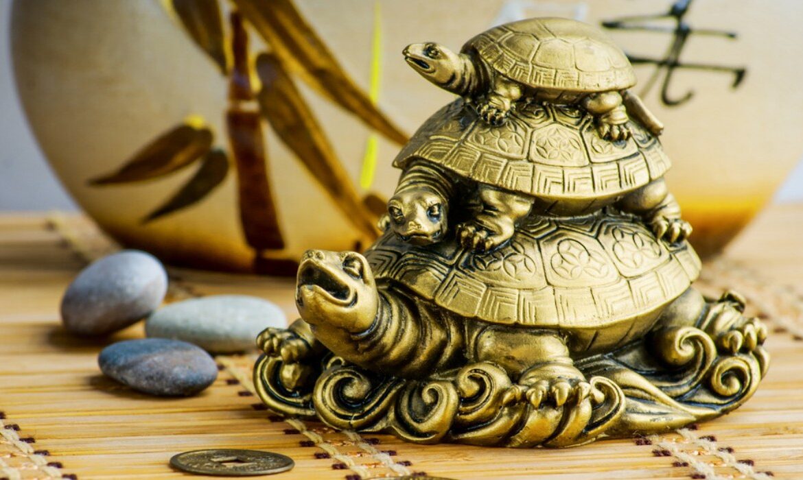 Know why to keep a turtle at home as per Vastu Feng Shui